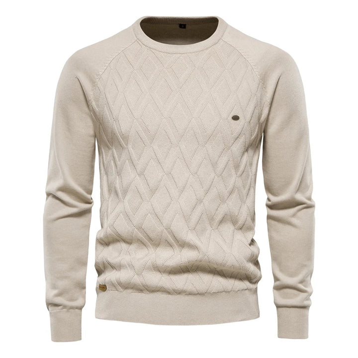 Heren Sweater Met Ruitdesign